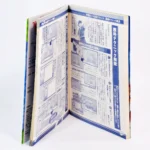 Guide de Captain Tsubasa: Eikou no Kiseki – Image 3