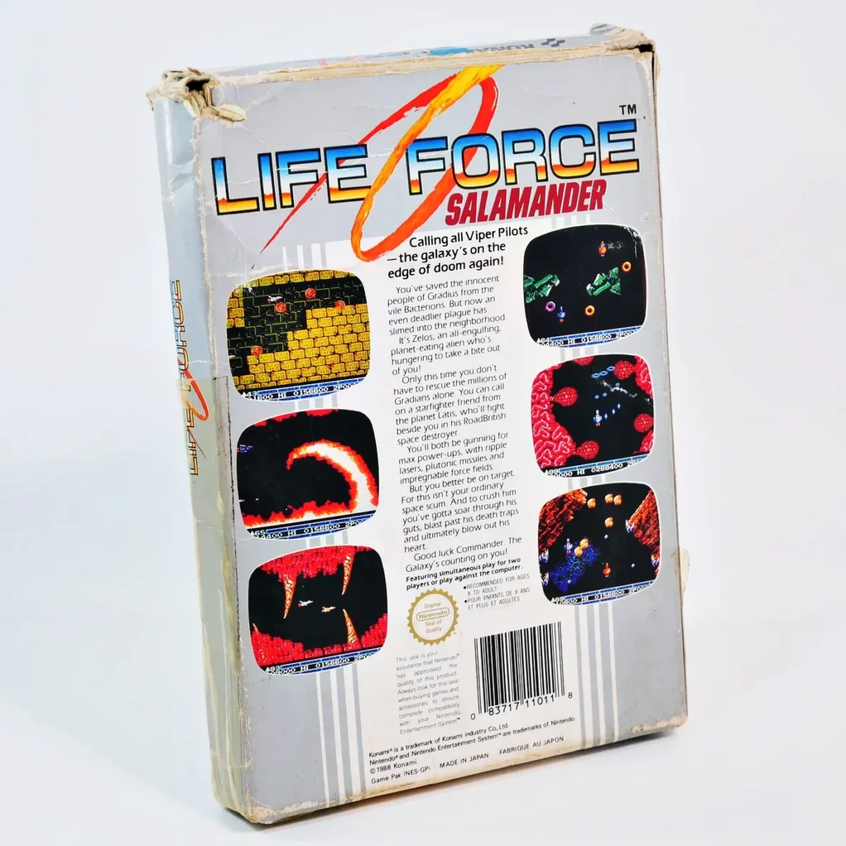 Life Force Salamander – Image 2